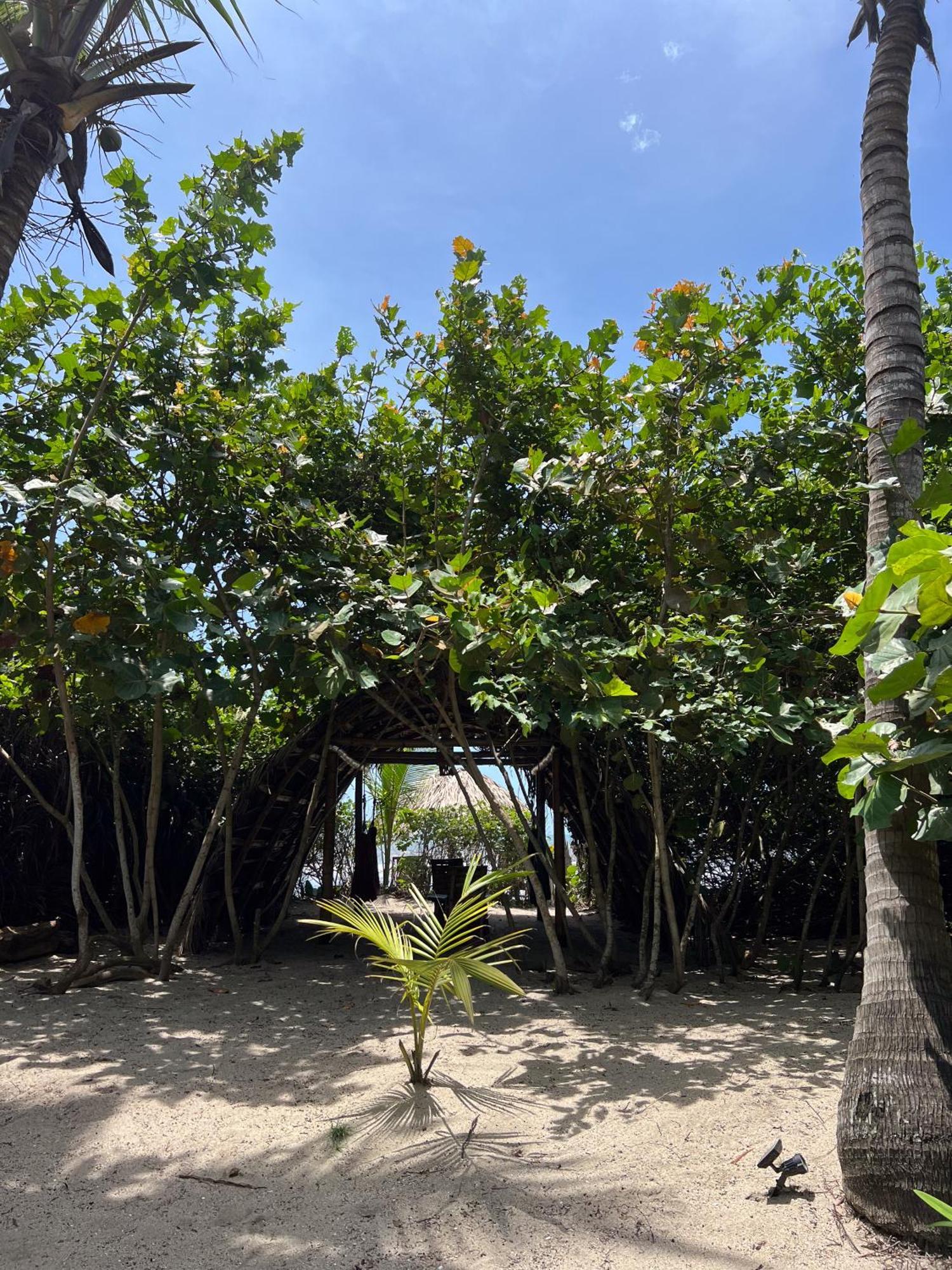 Lote 10 Glamping Hotel Guachaca Bagian luar foto